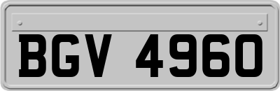 BGV4960