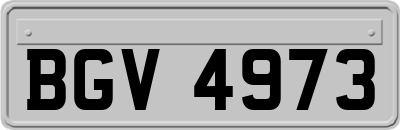 BGV4973