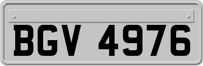 BGV4976