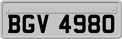 BGV4980