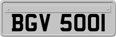 BGV5001