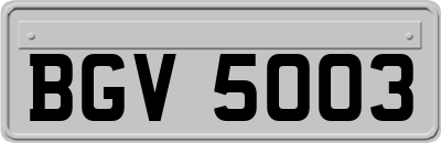 BGV5003