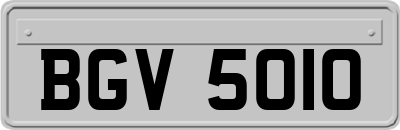 BGV5010