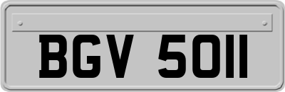 BGV5011