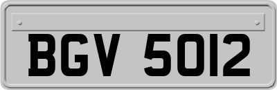 BGV5012