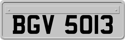 BGV5013
