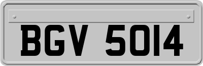 BGV5014