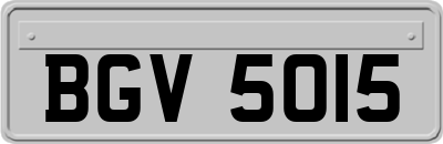 BGV5015