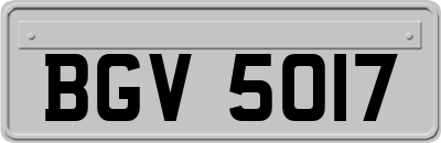 BGV5017