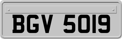 BGV5019