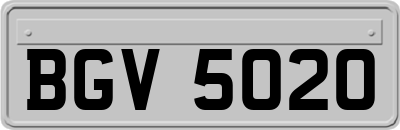 BGV5020