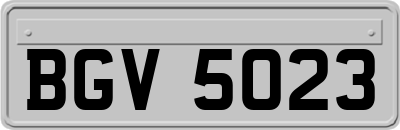 BGV5023