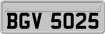 BGV5025