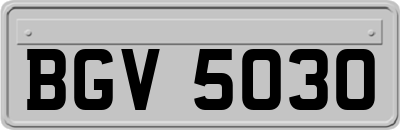 BGV5030
