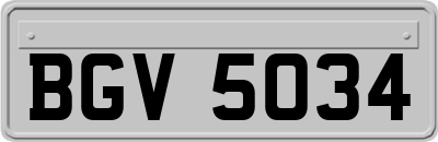 BGV5034