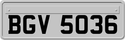 BGV5036