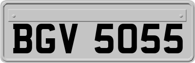 BGV5055