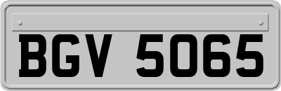 BGV5065