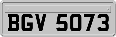 BGV5073