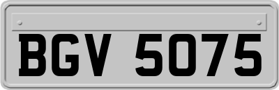 BGV5075
