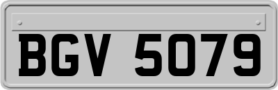 BGV5079