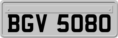 BGV5080