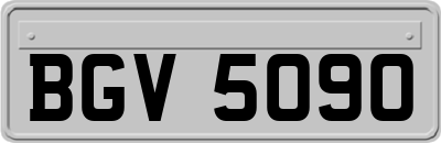BGV5090