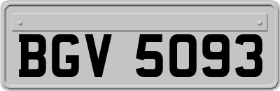 BGV5093