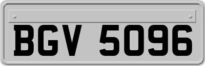 BGV5096