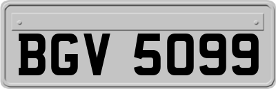 BGV5099