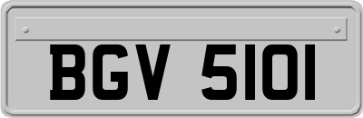 BGV5101