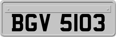 BGV5103