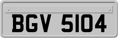 BGV5104