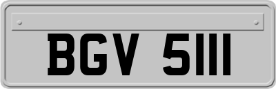 BGV5111
