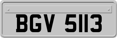 BGV5113