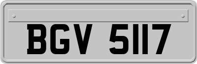 BGV5117