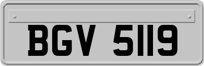 BGV5119