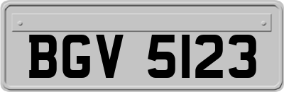BGV5123