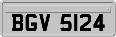 BGV5124