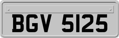 BGV5125