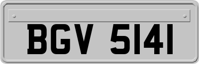 BGV5141