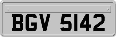 BGV5142