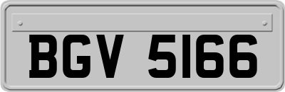 BGV5166