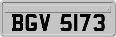 BGV5173