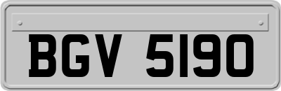 BGV5190
