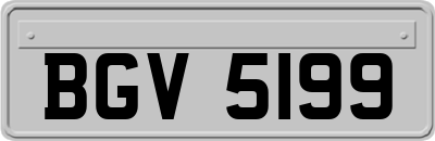BGV5199