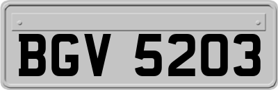 BGV5203