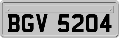 BGV5204