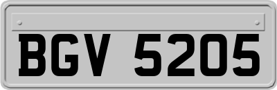 BGV5205