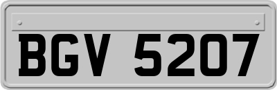 BGV5207